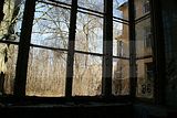 heilanstalt milbitz_183